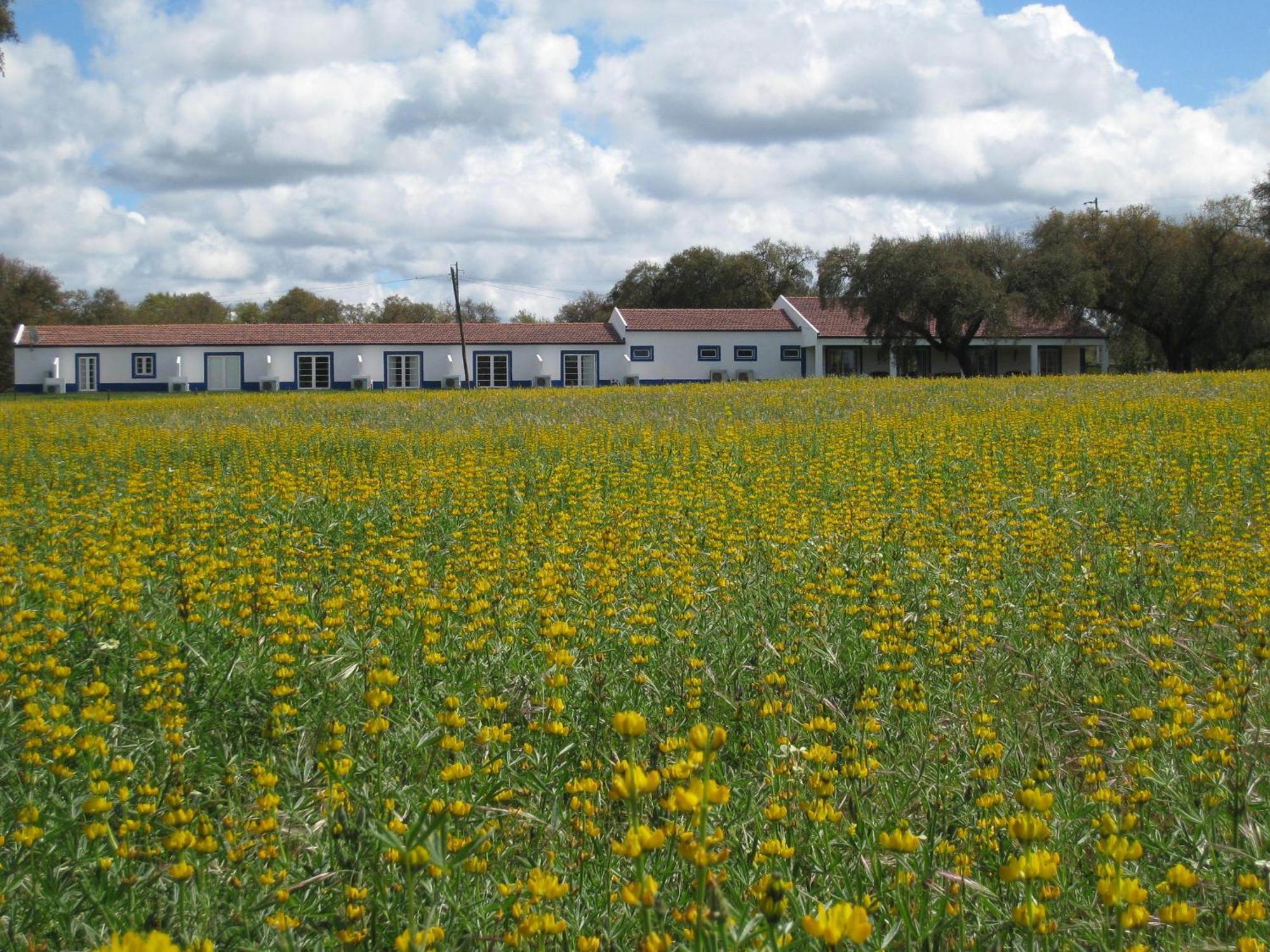 Monte Das Faias Cork Farm Hotel Грандола Екстер'єр фото