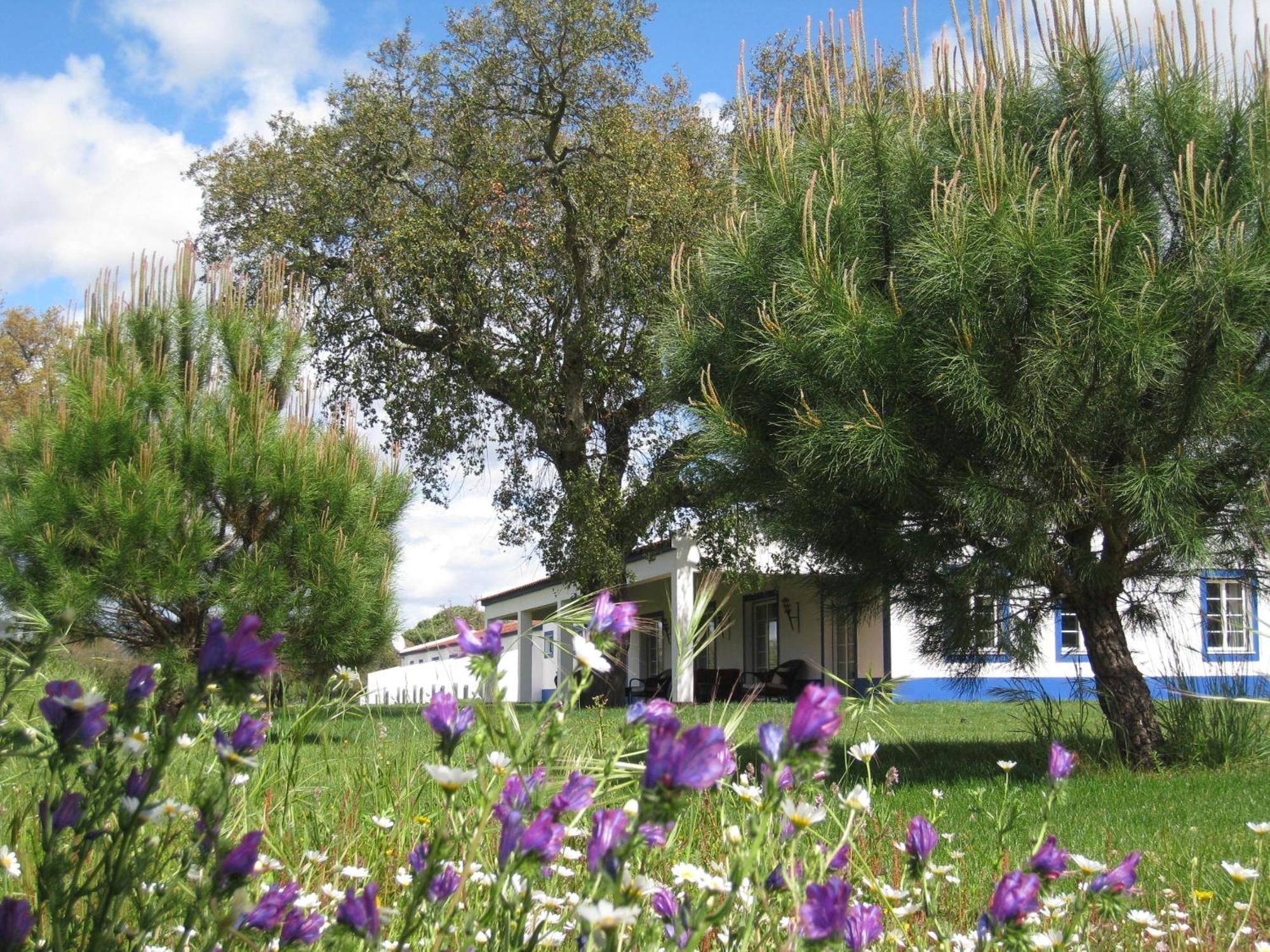 Monte Das Faias Cork Farm Hotel Грандола Екстер'єр фото